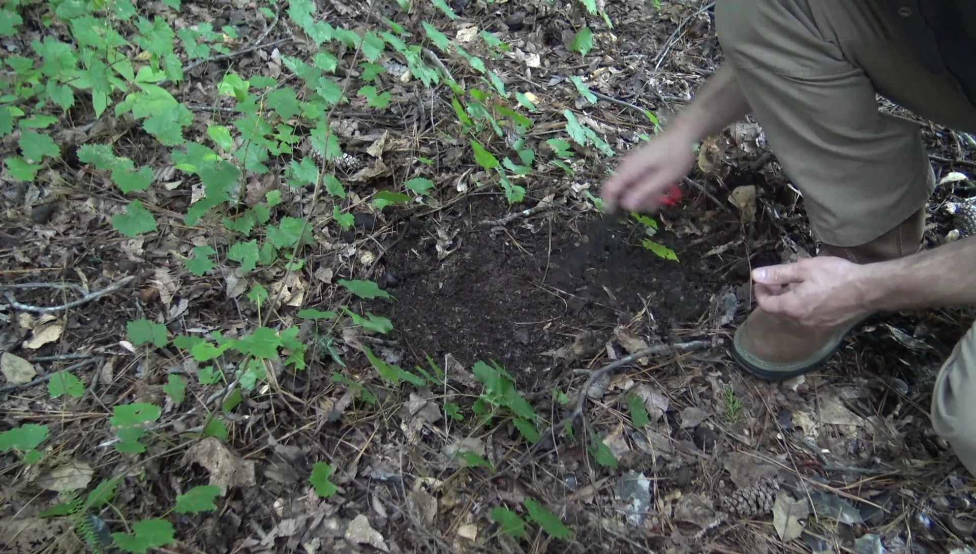 Raking away debris before driving the stake