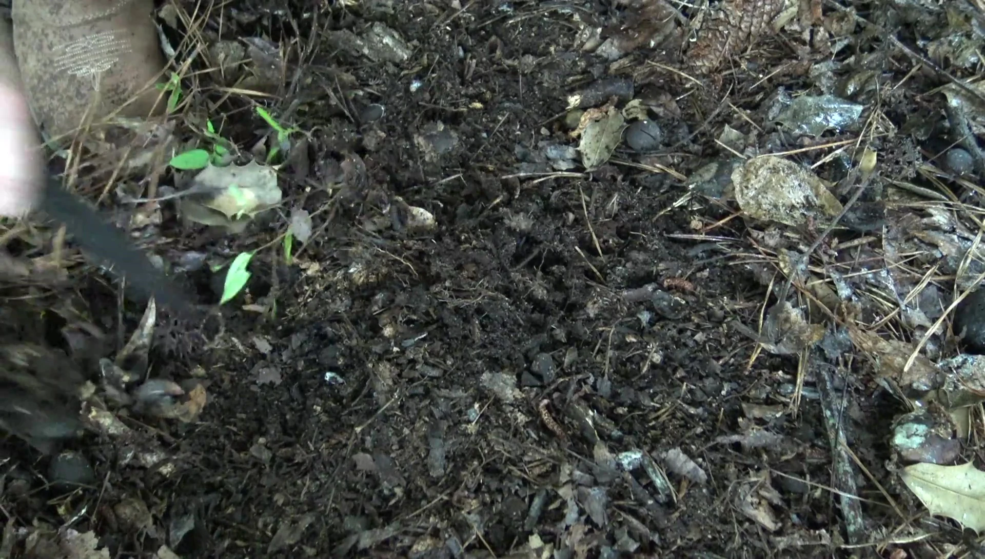 Clearing debris around stake location
