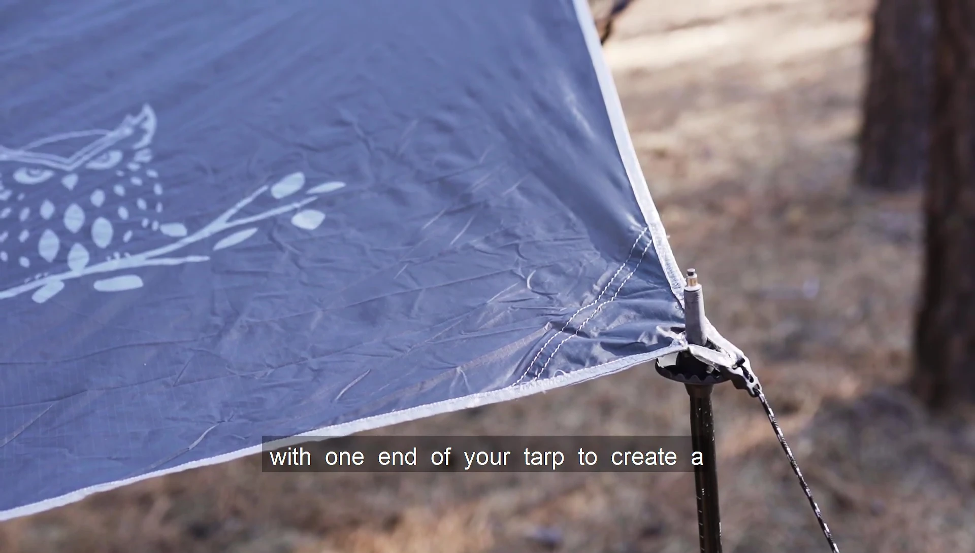 The tarp set up as a canopy