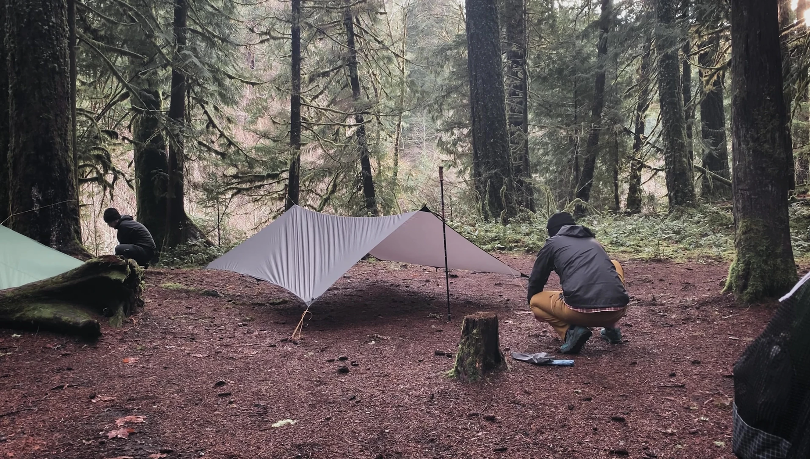Various tarp sizes and shapes