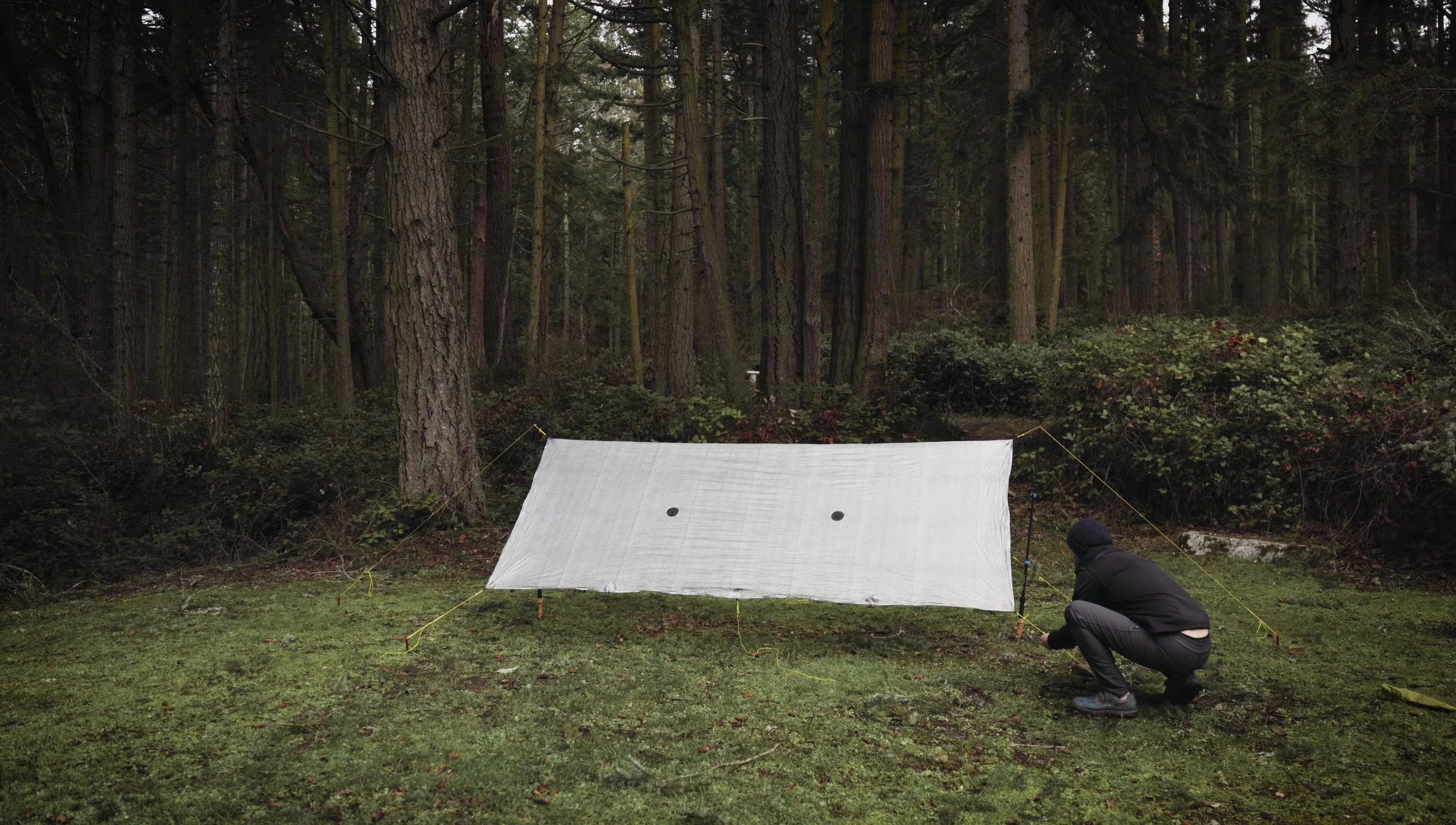 A tarp pitched as a lean-to