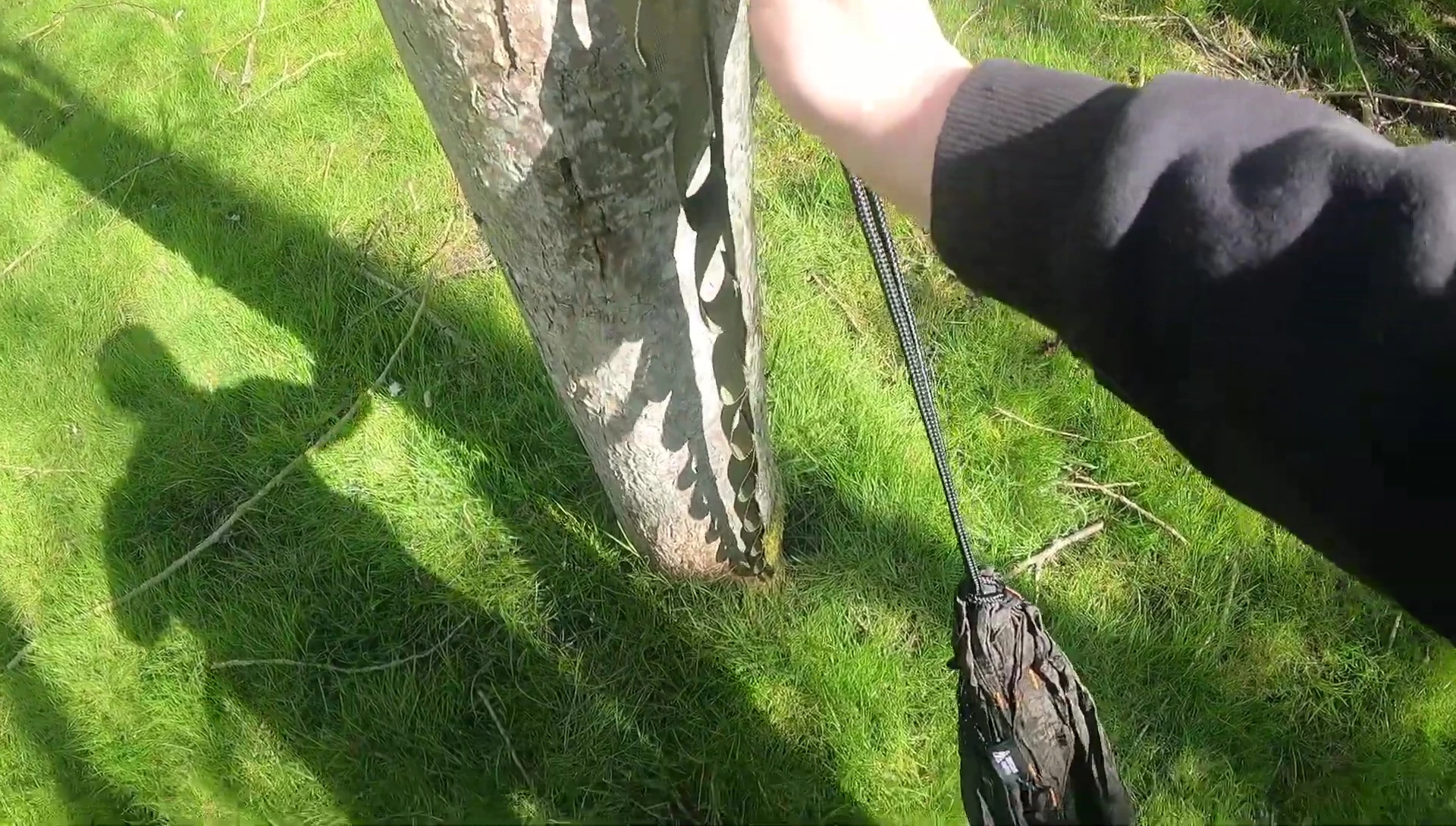 Carabiners clipping onto the hammock