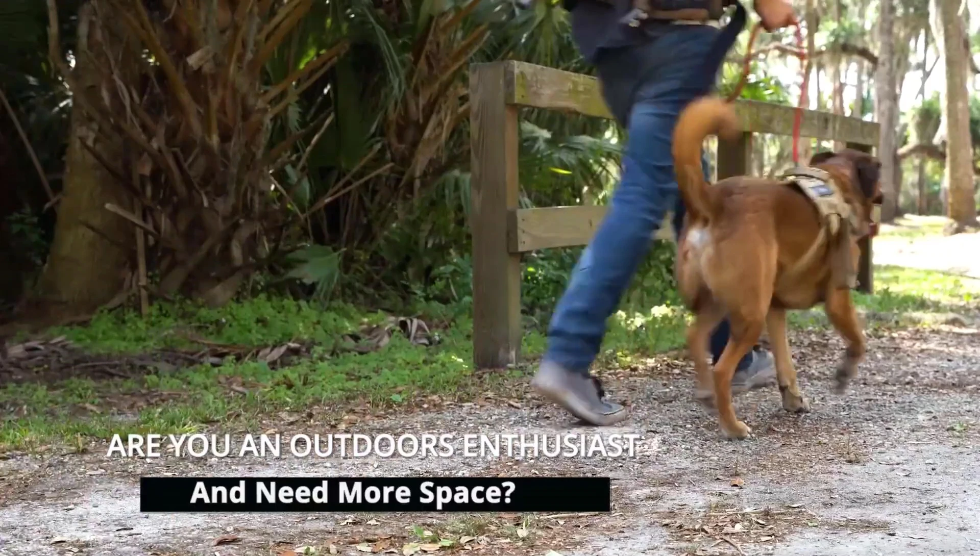 Dimensions of Rota tent highlighted