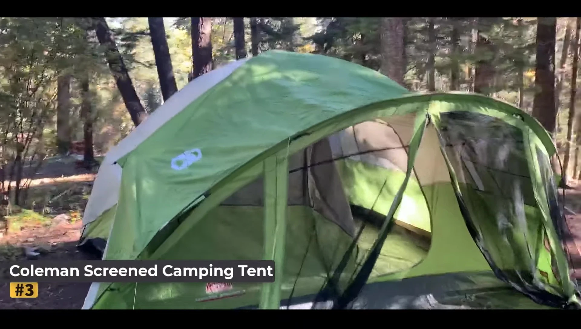 Exterior view of the Coleman Evon, showcasing its size