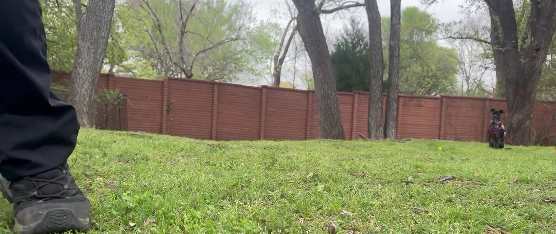 Concluding shot with the reviewers