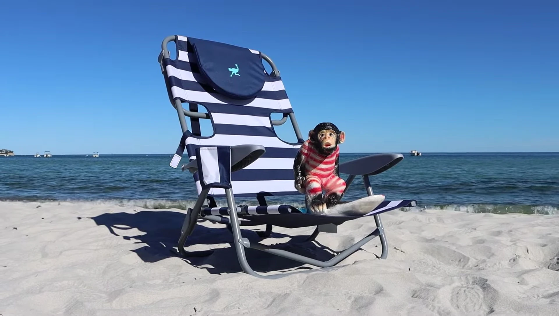 Ostrich Beach Chair