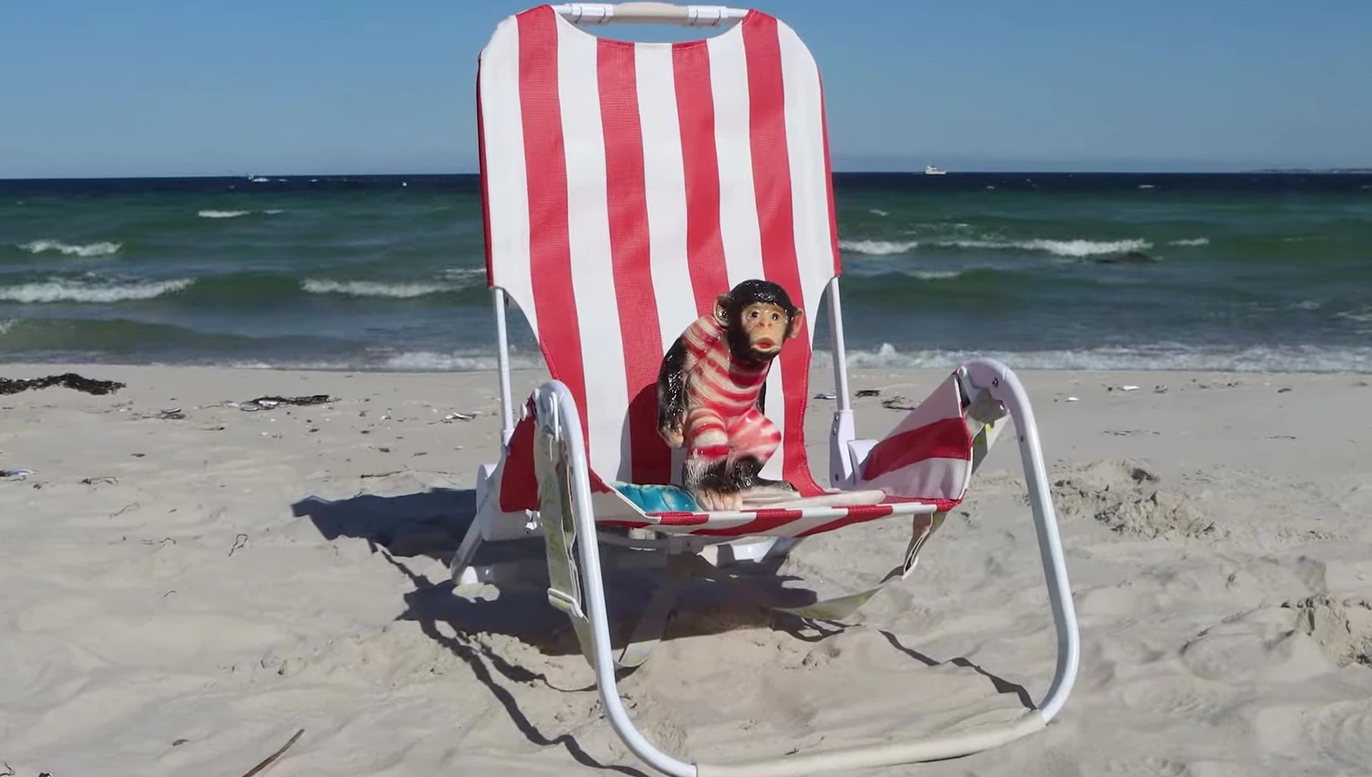 Sunflow Beach Chair opening sequence