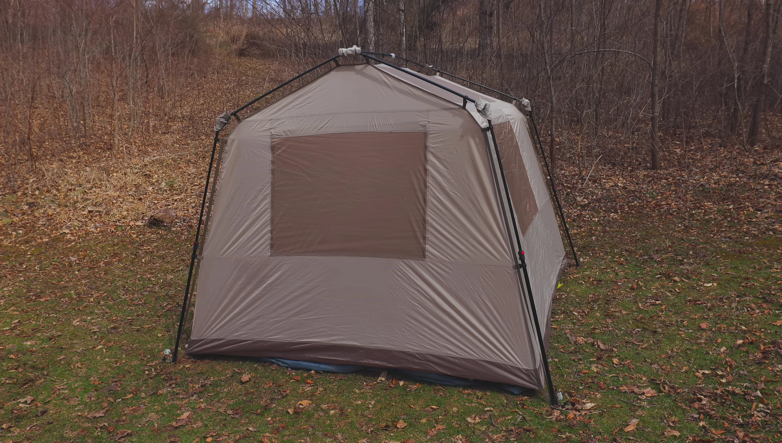 Interior view of the tent highlighting mesh windows and vents.