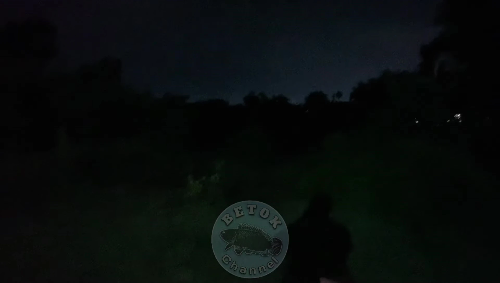 The headlamp's light output in use