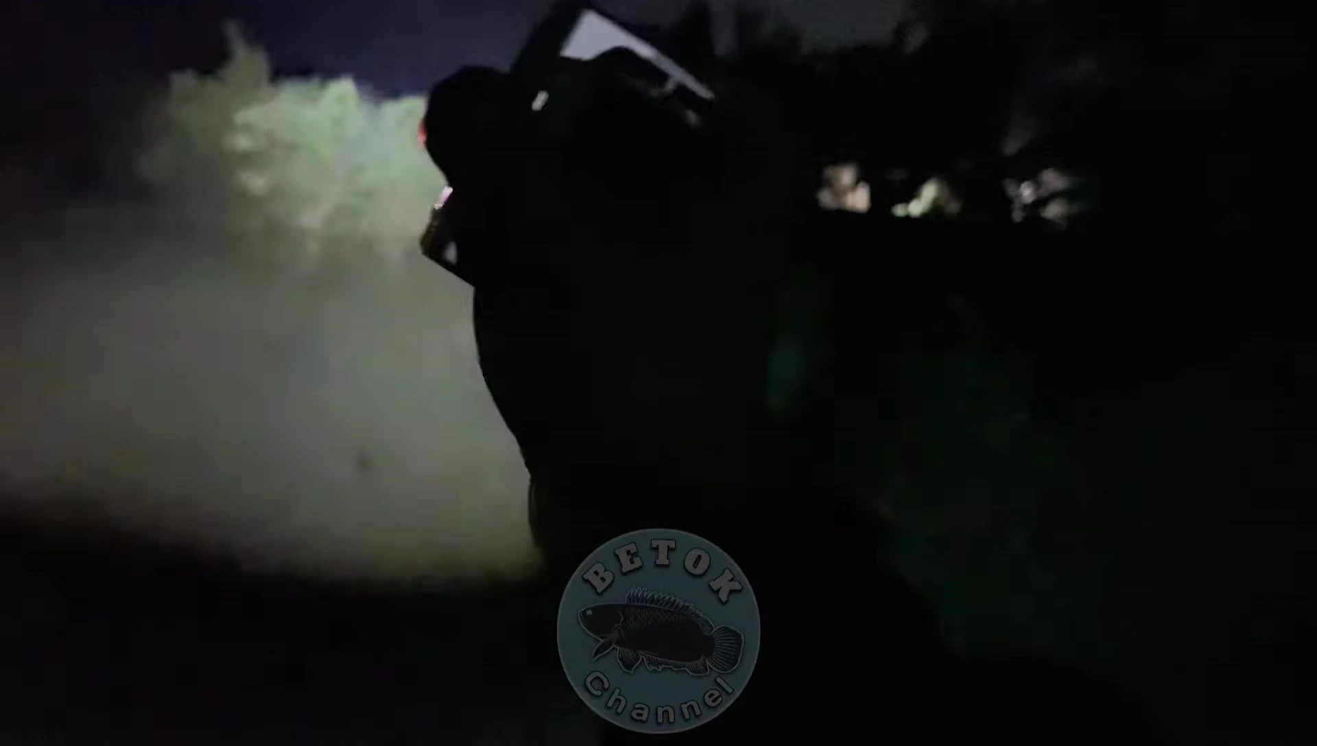 Summary of the headlamp's pros and cons