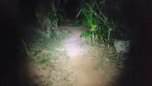 Camping Headlamp Review: Bright LED Light with USB Charging