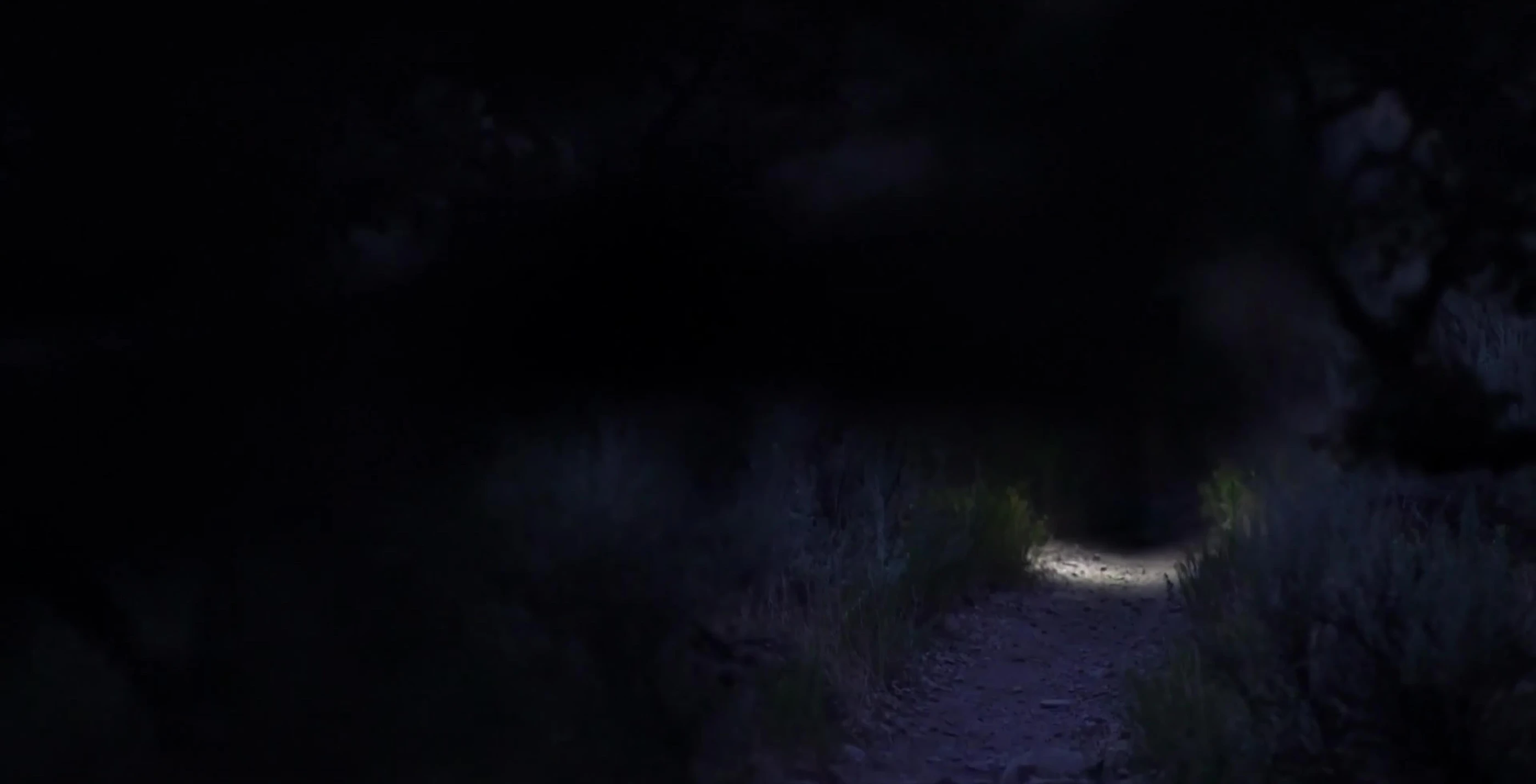 VANCE Part LD headlamp showcasing its brightness and beam pattern.