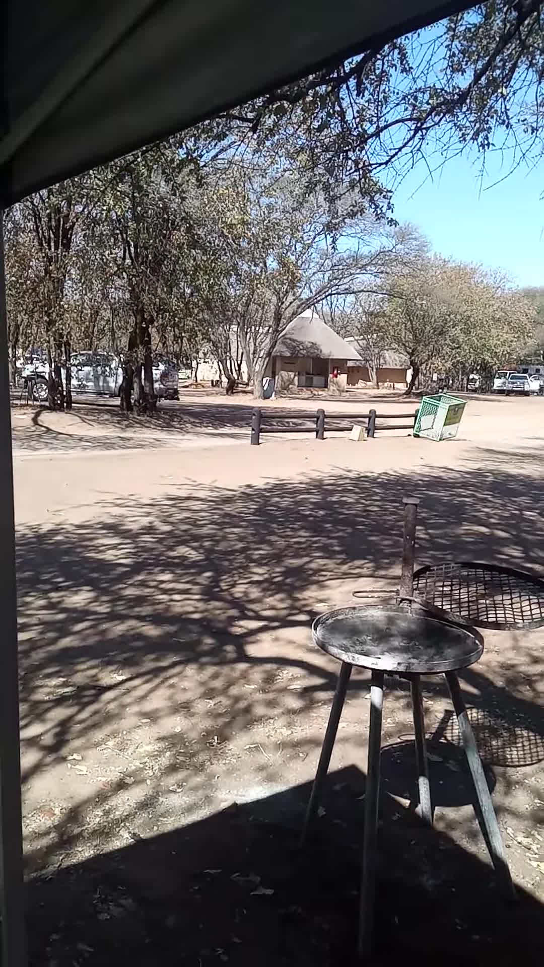 A view of the Kruger National Park, emphasizing the hot and dry environment.