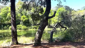 ENO DoubleNest Hammock Review: Lightweight, Durable, and Worth It?