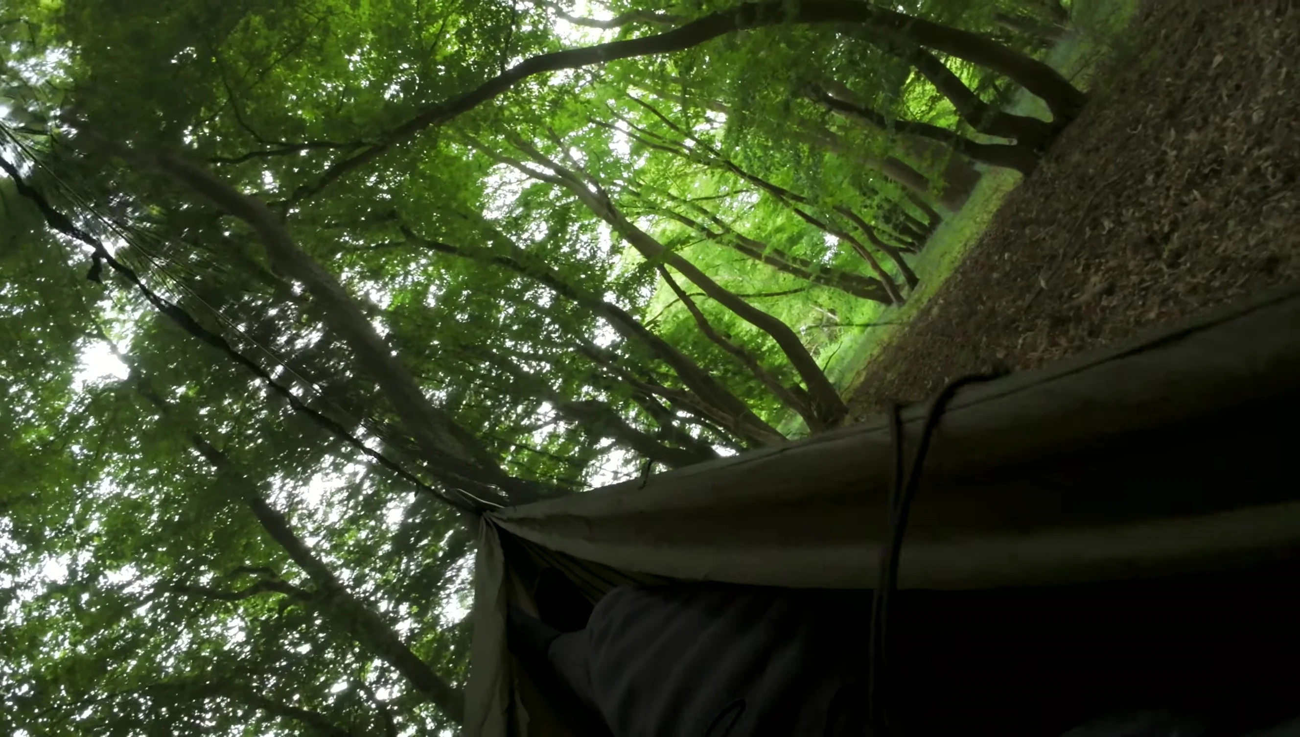Close-up shot showcasing the bug net's functionality and how compactly it packs away.