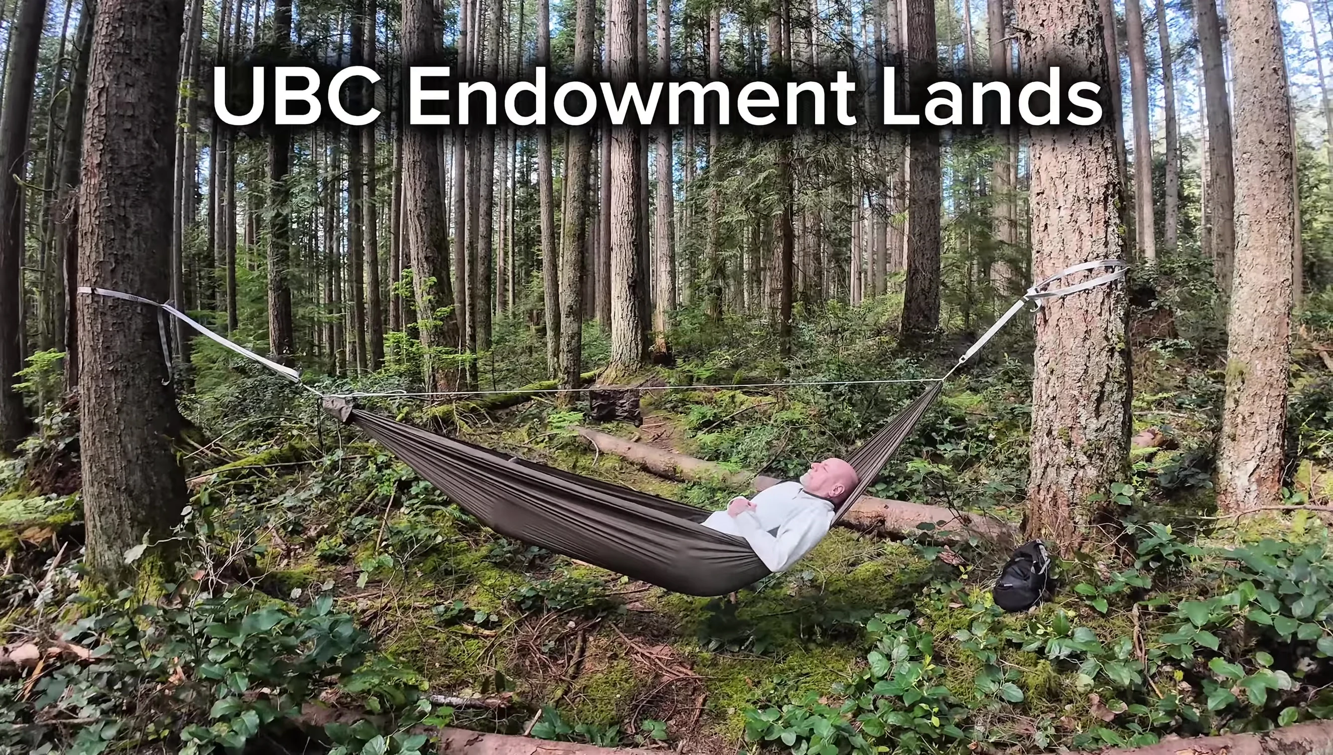 Hammock set up amongst Douglas Firs in Pacific Spirit Park