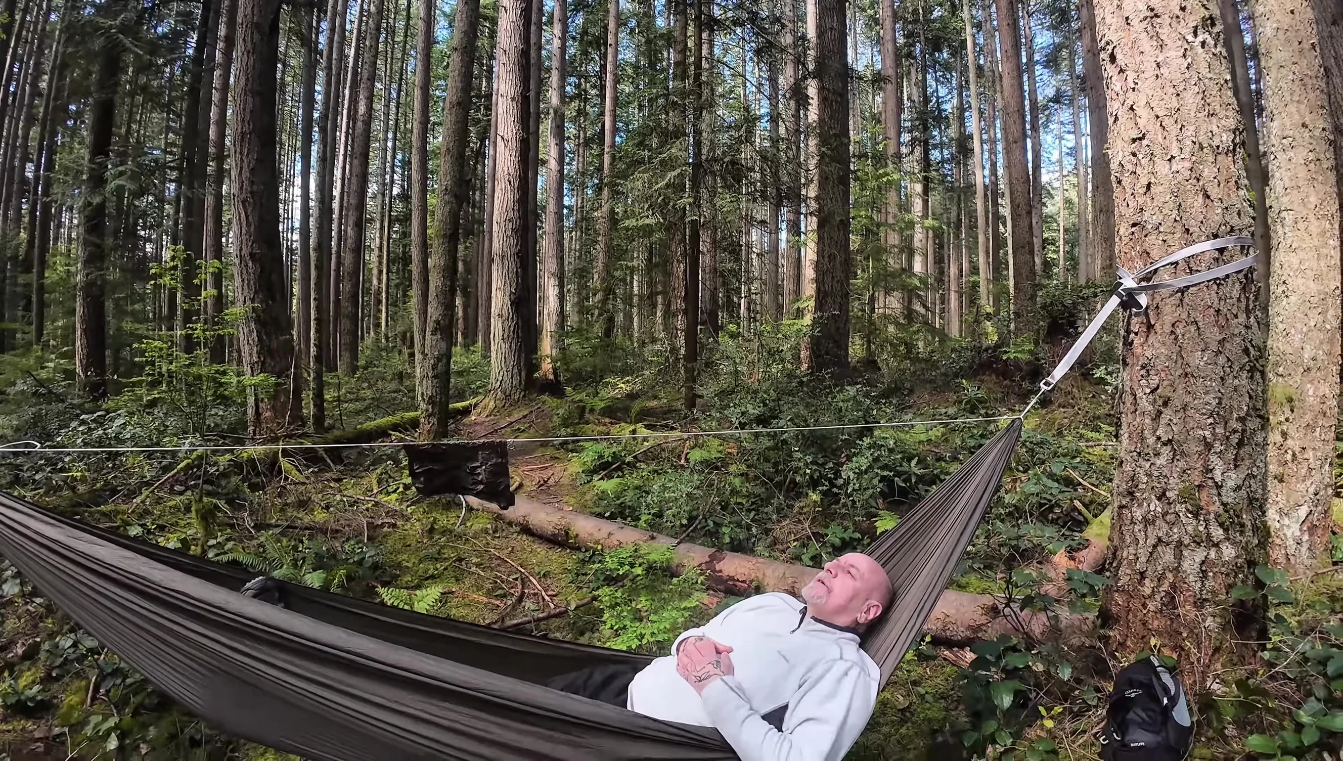 Sunny afternoon in Pacific Spirit Park