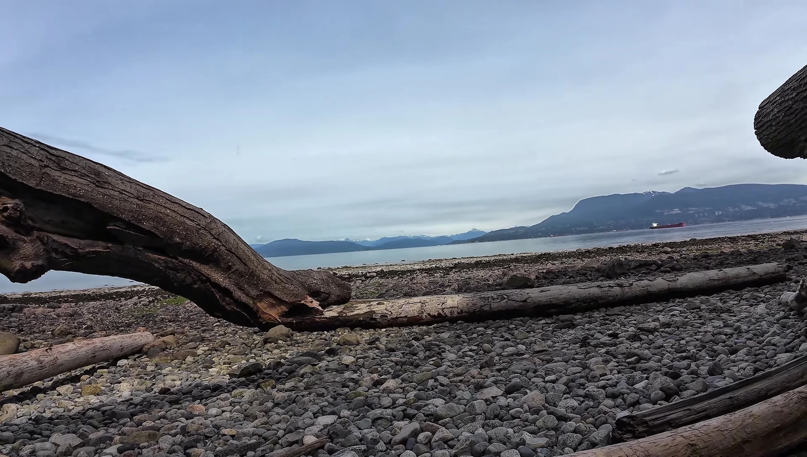 Hammock set up on Wreck Beach cliffside