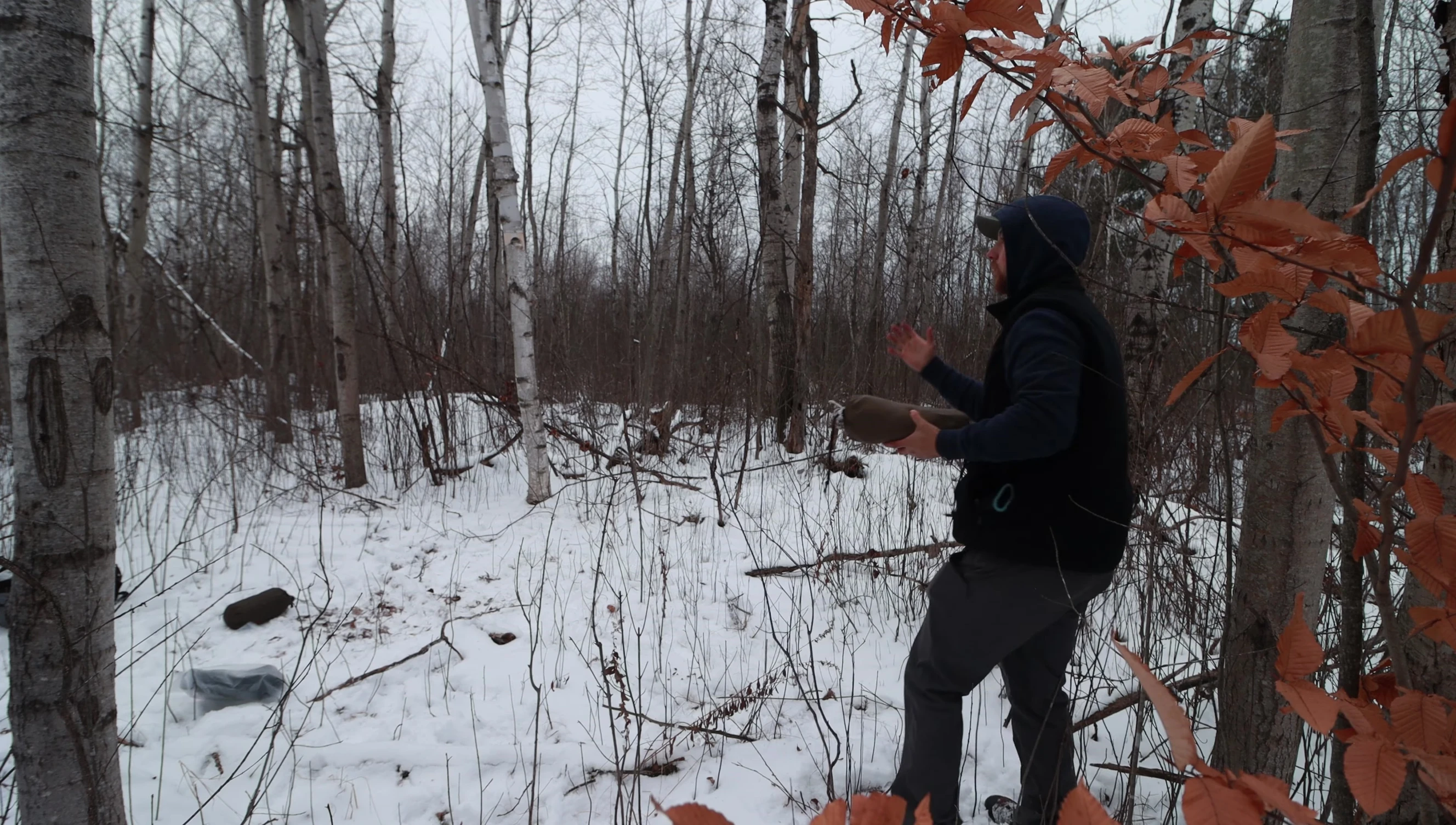 Demonstration of measuring the distance between trees for hammock setup.