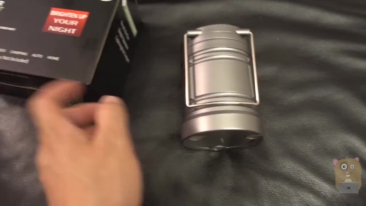 The reviewer holding the folded lantern.