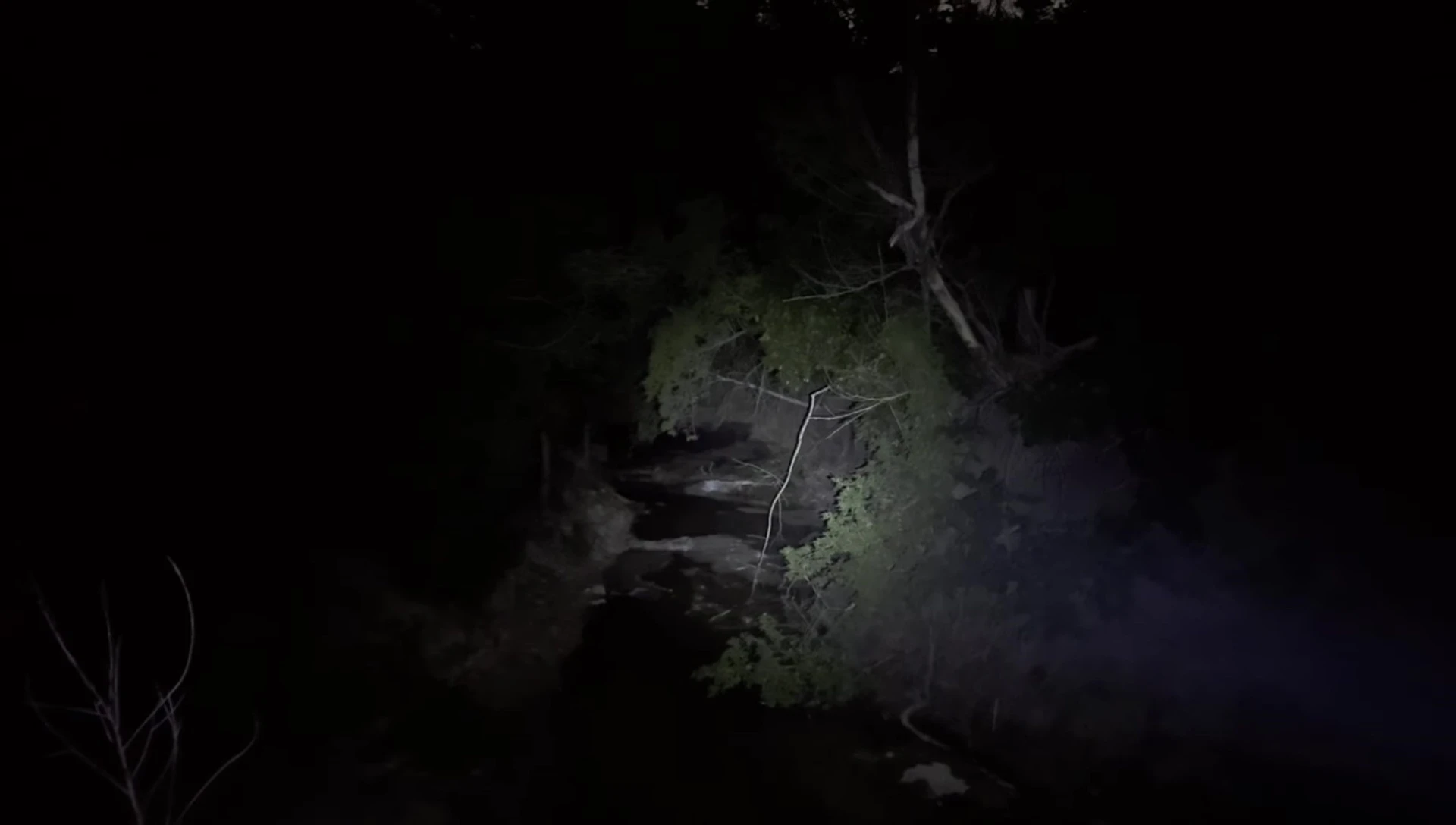 The flashlight function of the OGERY Z10 in use