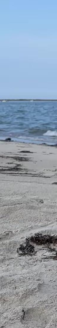 The carrying bag and dimensions of the packaged chair.