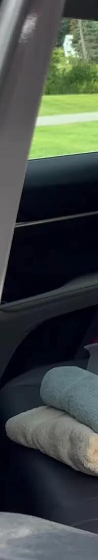 The chair in the backseat of a car.