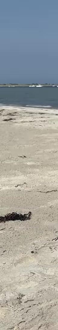 The reviewer comparing backrest heights of the REALEAD and the ostrich chair.