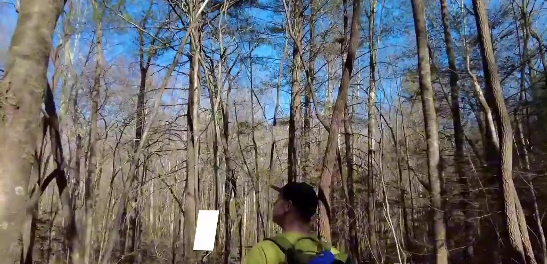 The ENO DoubleNest Hammock