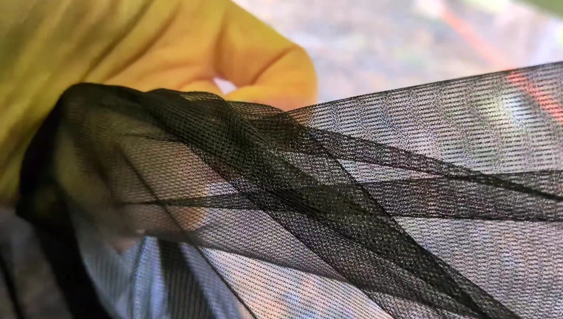 Showing the bug net layer.