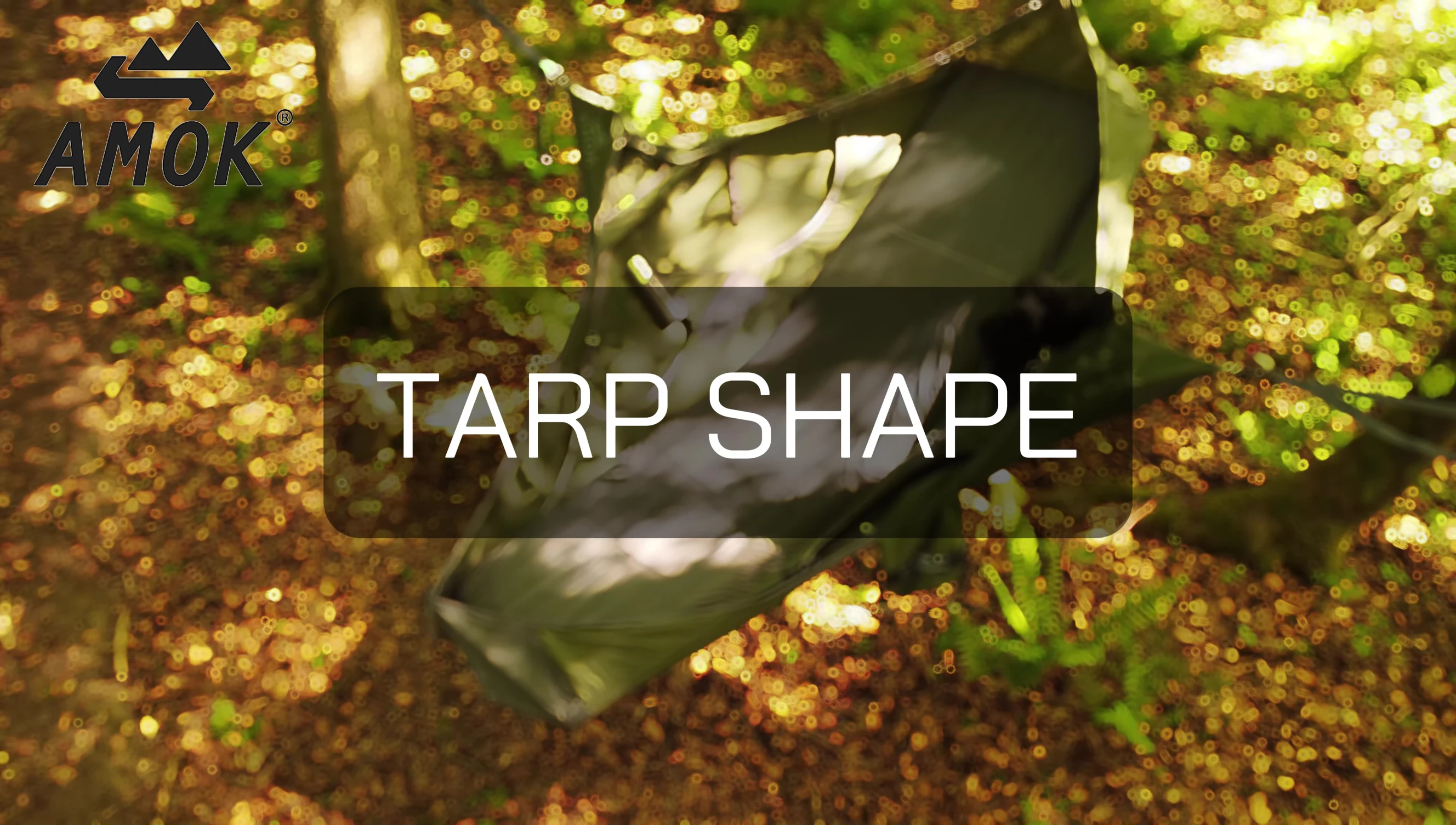 The reviewer points out the shape of the tarp.