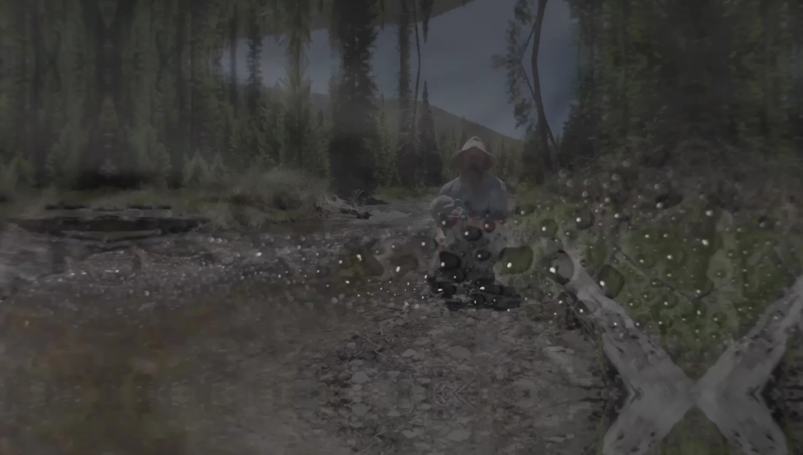 Visual representation of rain, creek submersion and condensation as sources of wetness.