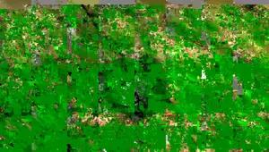 YOBO Gear Turtle Bug Camper Hammock Stand Review: Ultimate Portable Camping Solution