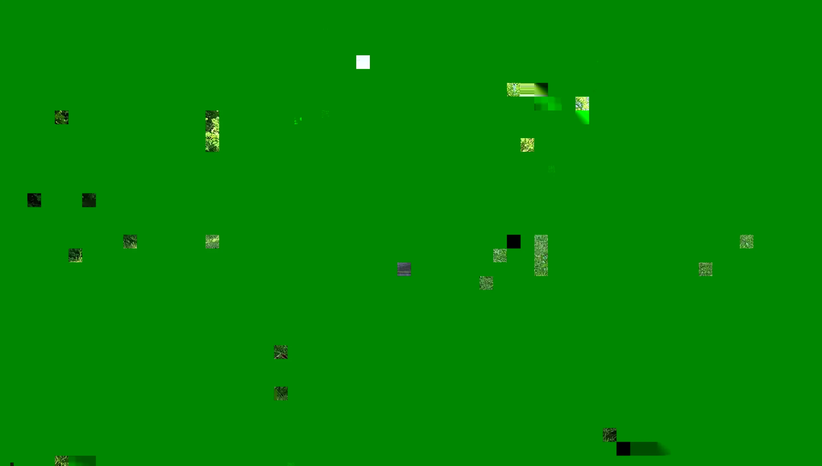 Close-up of the packed tent dimensions being measured.