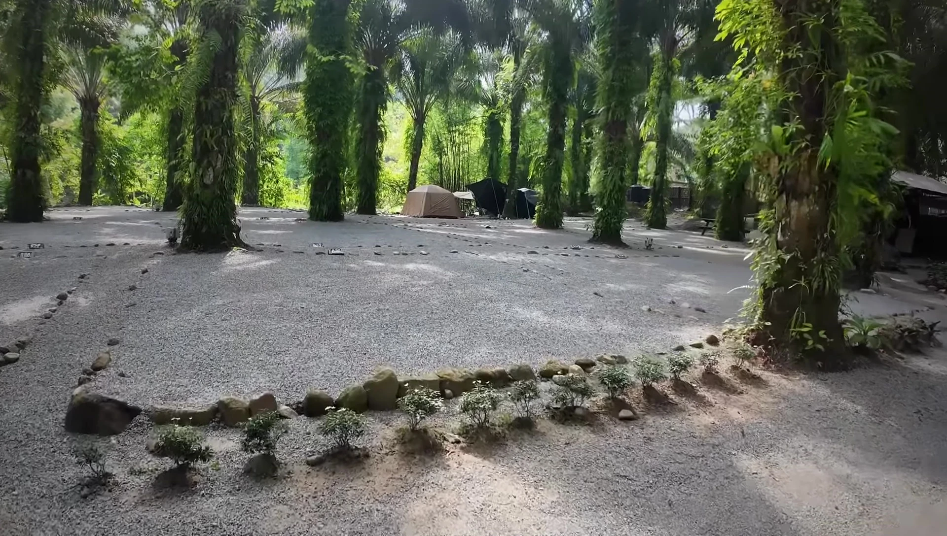 A view of several campsites, showcasing their size and arrangement.