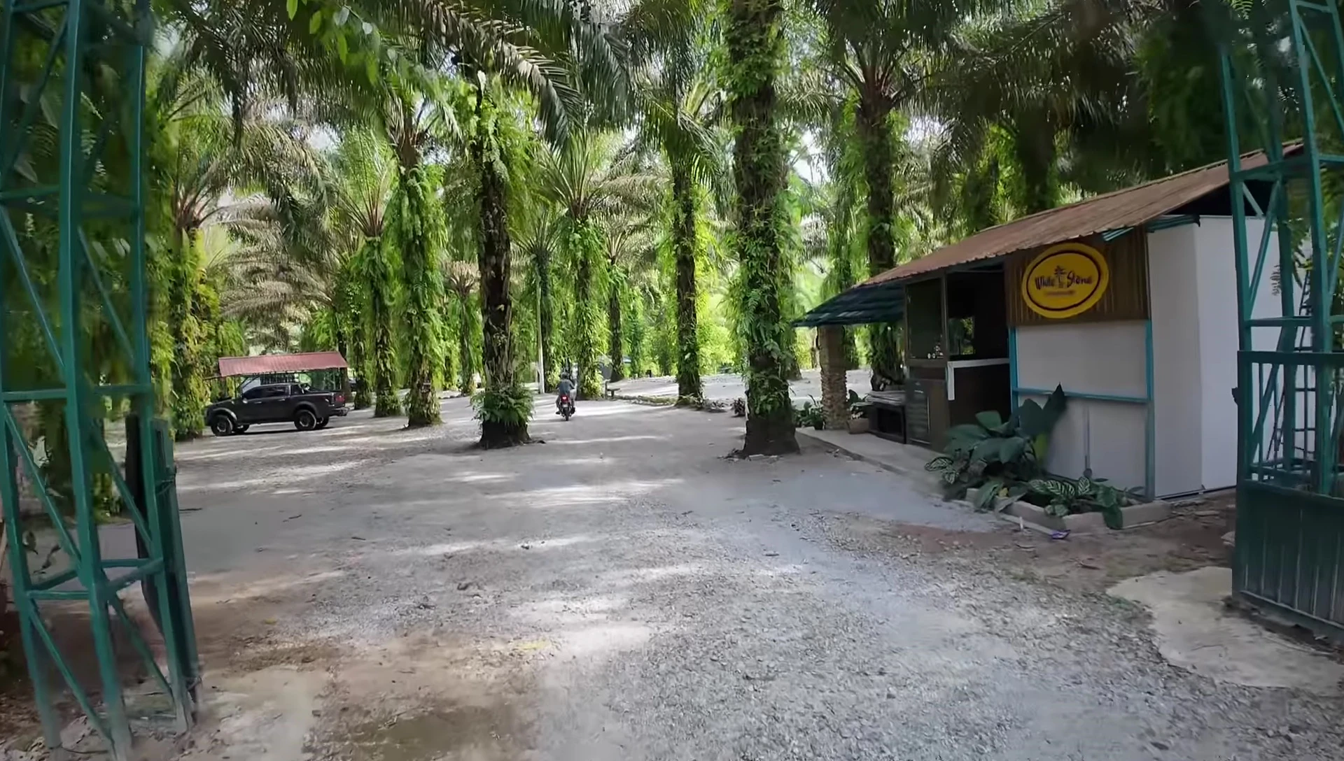 Overall view of the campsite nestled among palm trees.