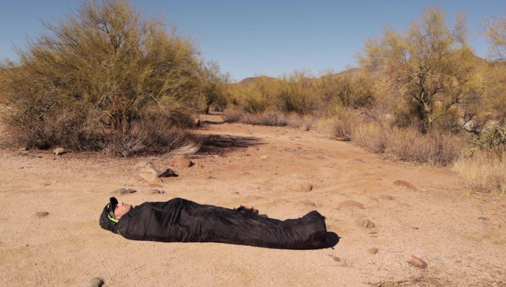 The reviewer discussing temperature regulation