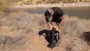 Teton Sports Leev 0° Sleeping Bag Review: Affordable Warmth for Winter Camping