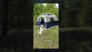 UNP 6 Person Tent Review: Spacious, Waterproof Family Camping Shelter