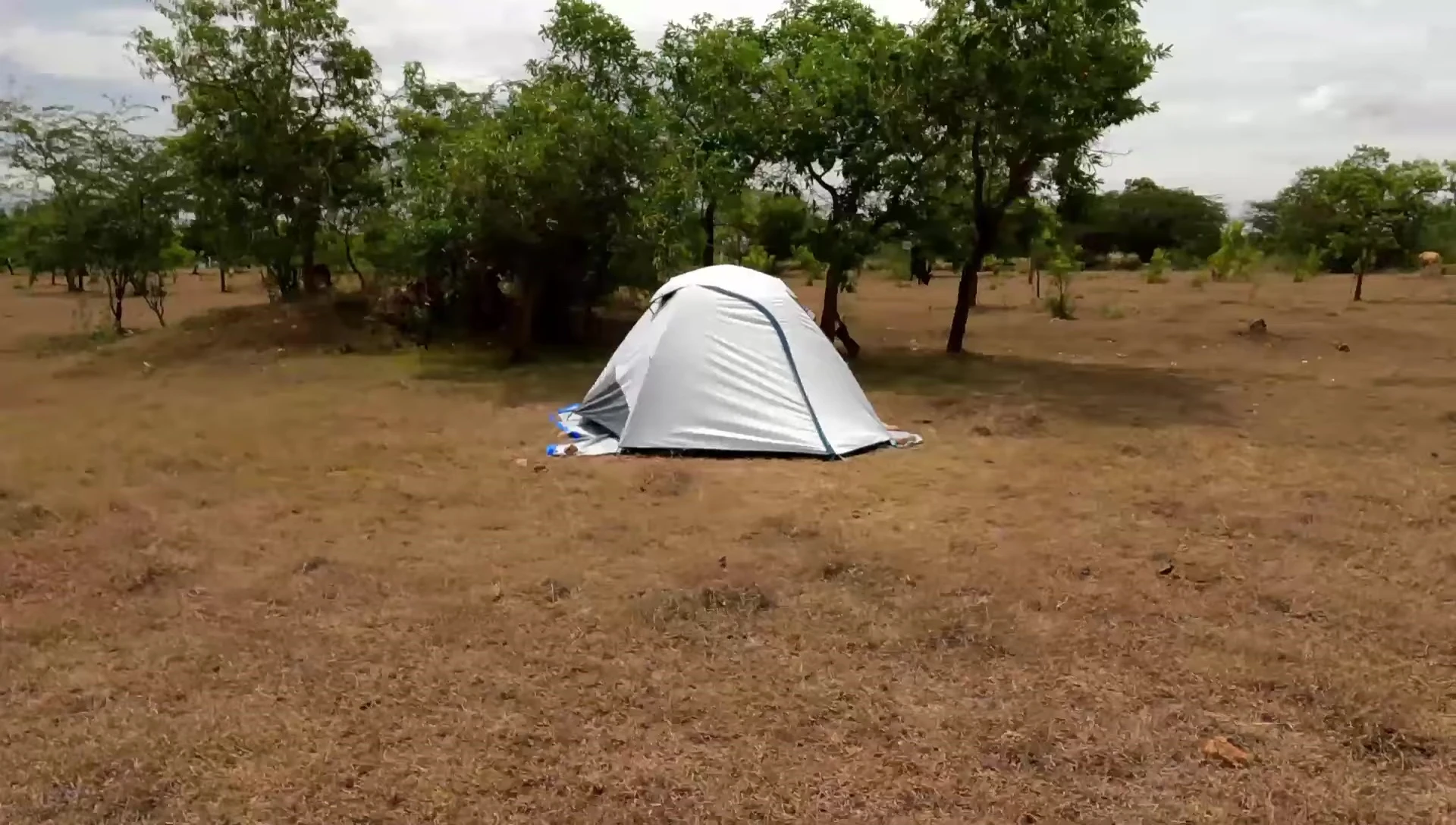 Close-up of the tent's elastic cords and poles.