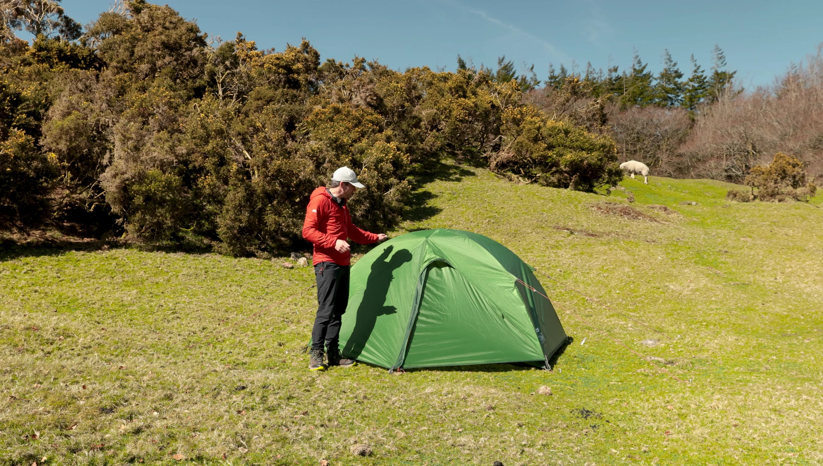 Final shot of the fully pitched Vango Exedra 200 tent.