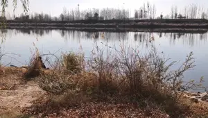 Best Camping Sleeping Bags 2025: Top 10 Reviews & Comparison