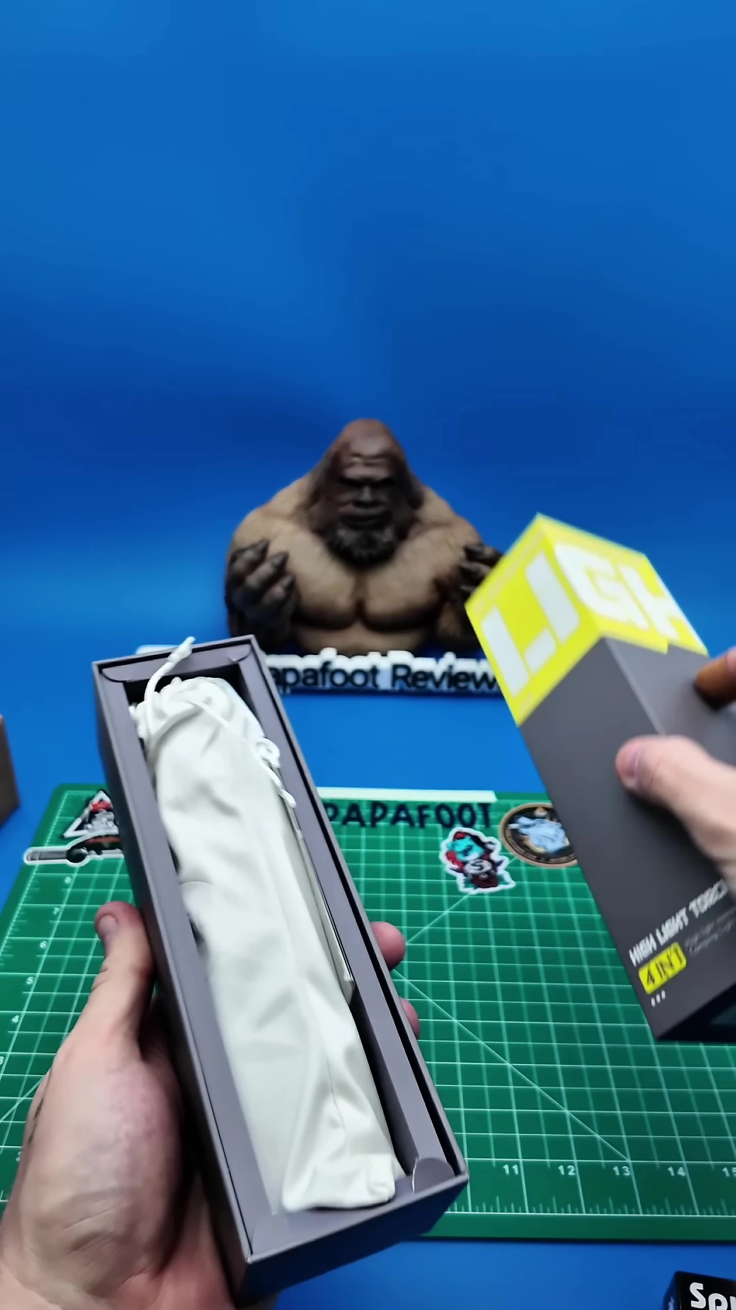 The packaging containing the Auge Light lantern and accessories.