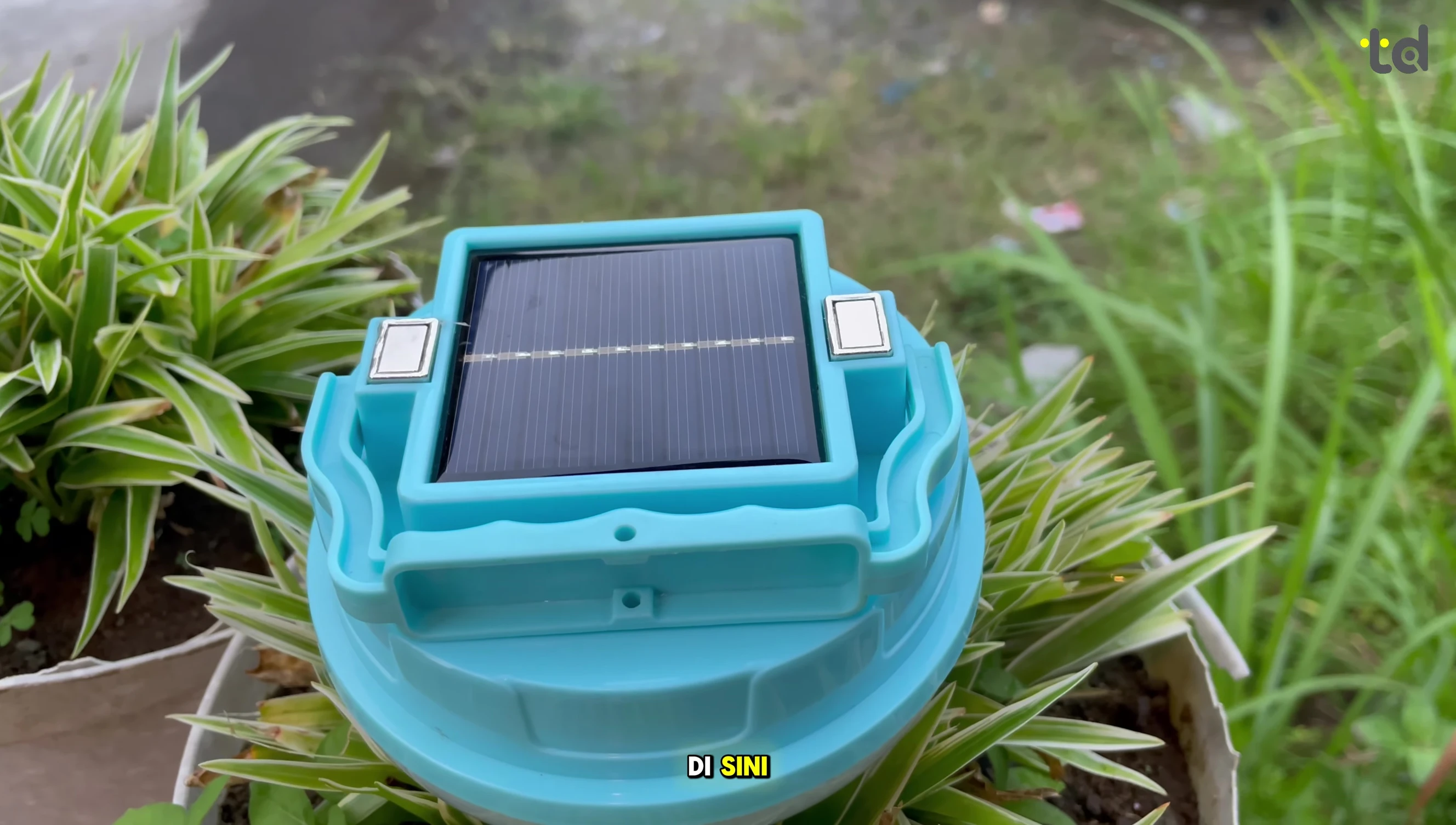 Final shot of both lamps side-by-side.