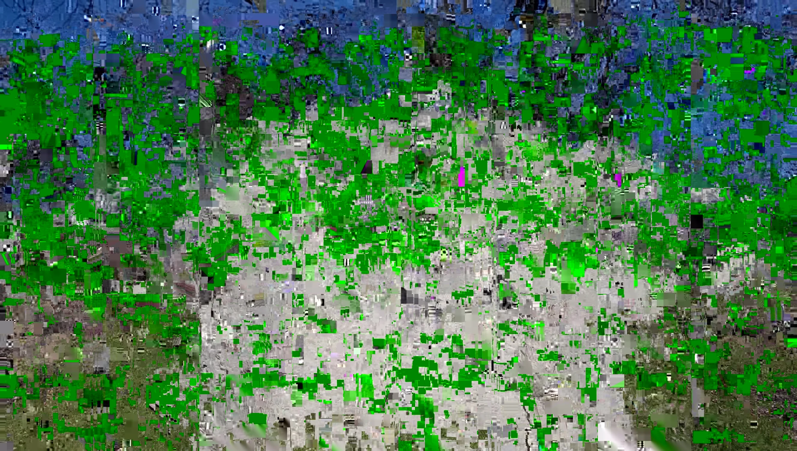 Top vent and side windows