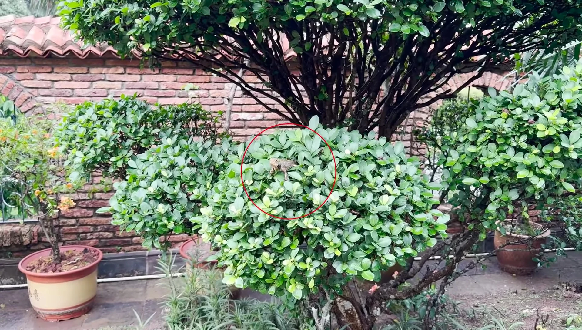 YKK zippers on the vestibules