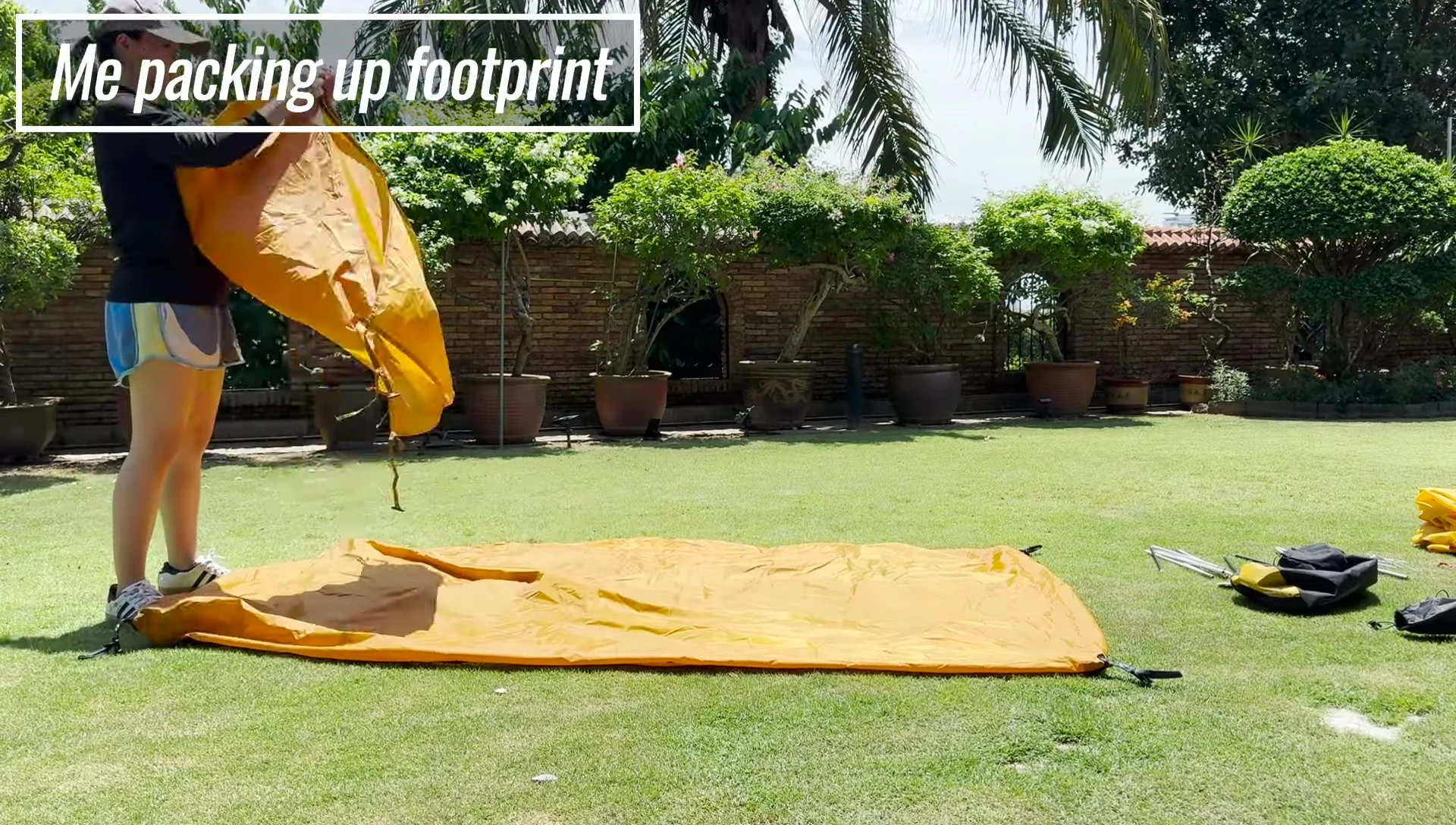 Pros and cons summary