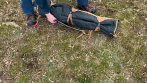 Kelty Camping Chair Review: Comfort, Features, and Value